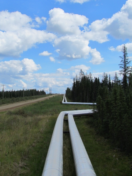 <p>Pipelines: 0.25 km/km<sup>2<br /><br/>Photo:&nbsp;ABMI</sup></p><br/>
